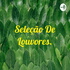 Seleção De Louvores.