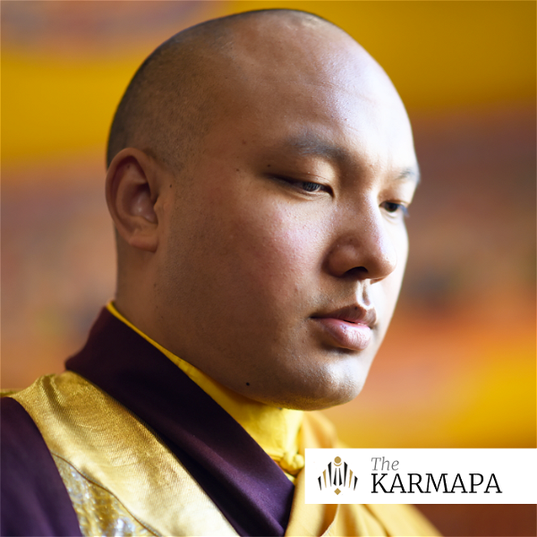 Artwork for Selected Talks on Buddhism and Meditation by the Karmapa