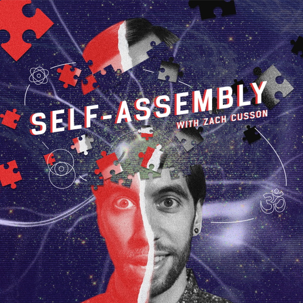 Artwork for Self-Assembly