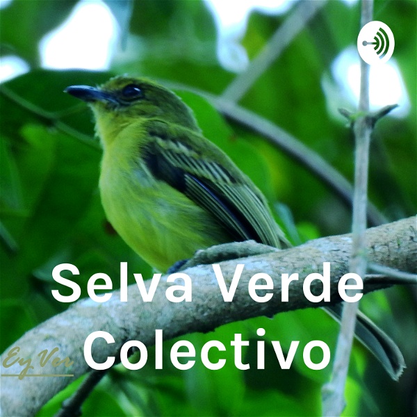 Artwork for Selva Verde Colectivo