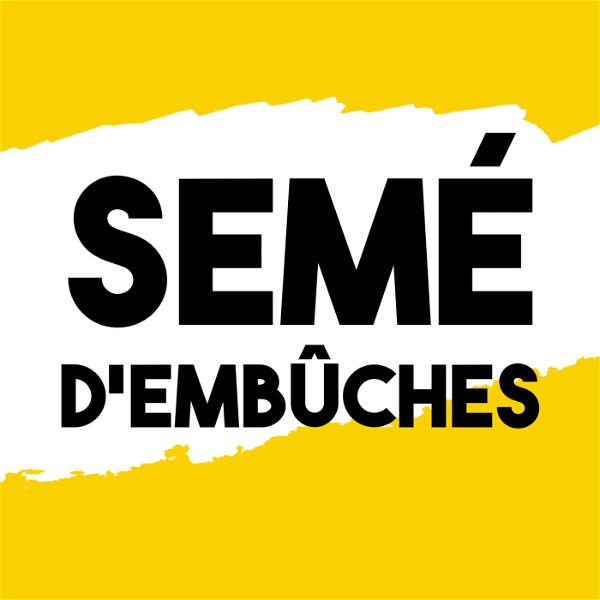 Artwork for Semé d'embûches