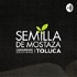 Semilla Toluca
