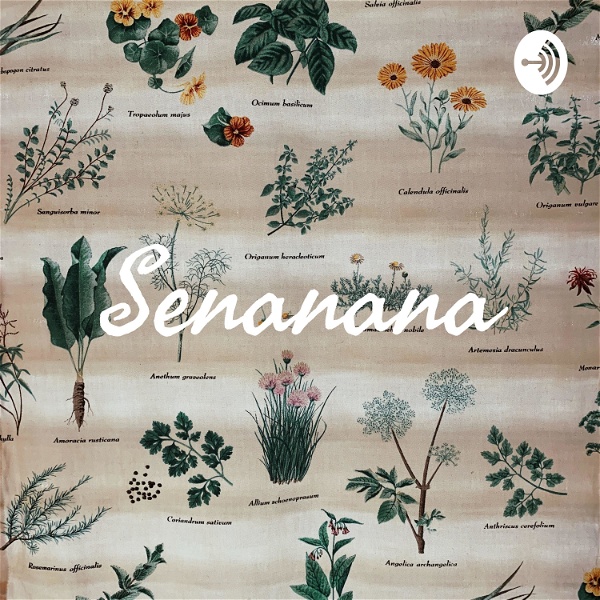 Artwork for Senanana