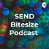 SEND Bitesize Podcast