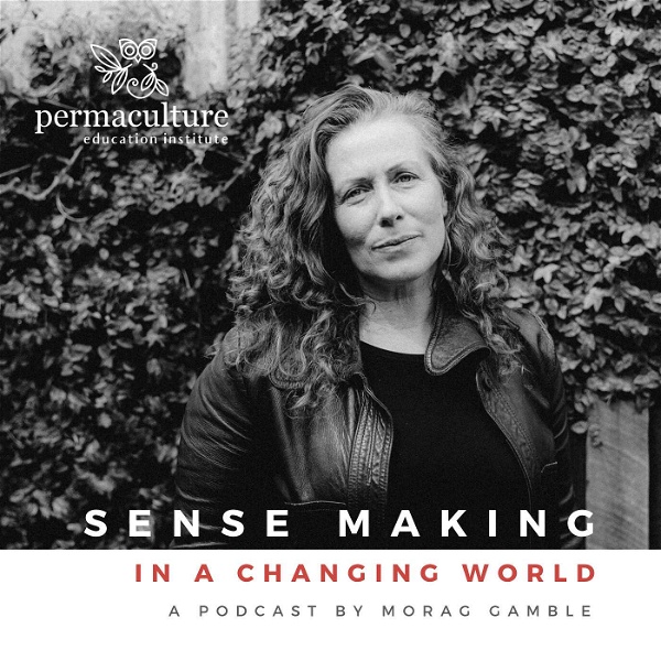 Artwork for Sense-Making in a Changing World