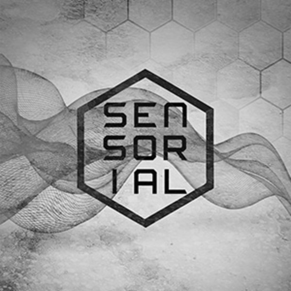 Artwork for Sensorial