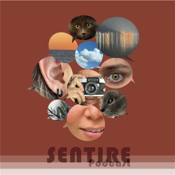 Artwork for Sentire Podcast