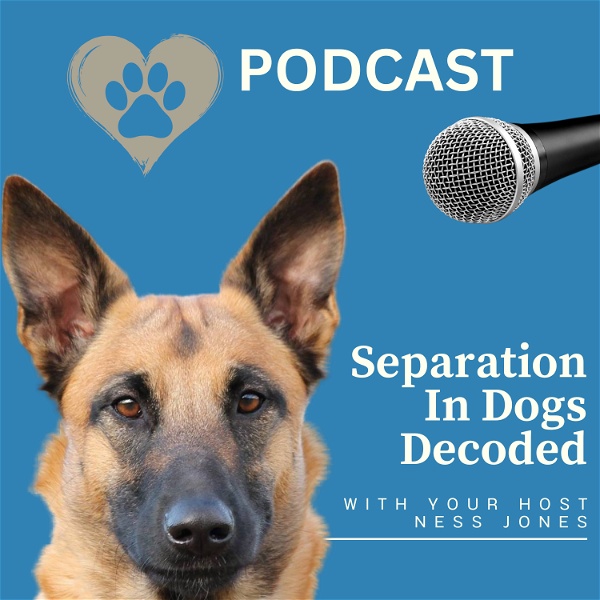 Artwork for Separation Anxiety In Dogs Decoded hosted by Ness Jones
