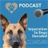 Separation Anxiety In Dogs Decoded hosted by Ness Jones