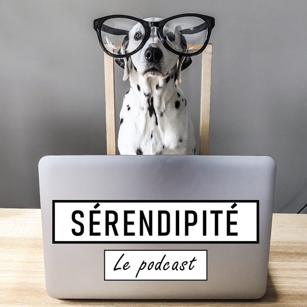 Artwork for Sérendipité