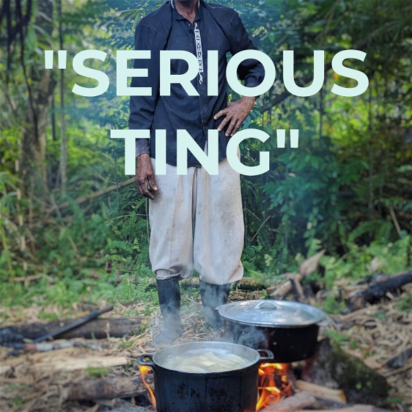 Artwork for "SERIOUS TING"