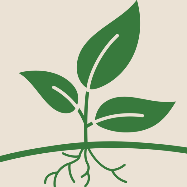 Artwork for Clarence Church of Christ