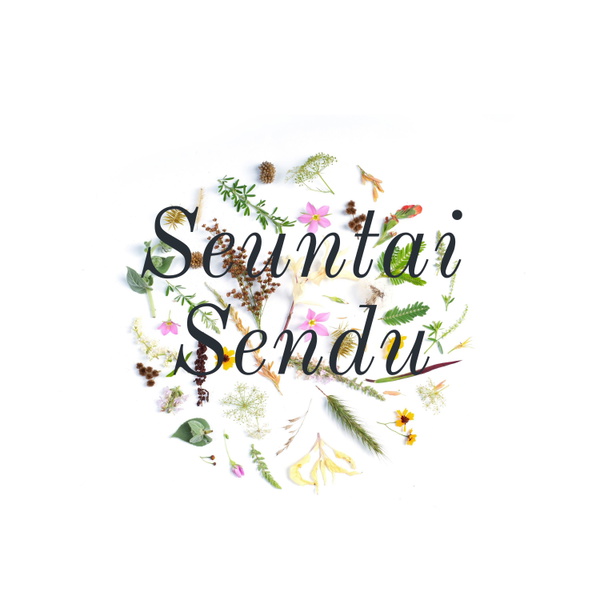 Artwork for Seuntai Sendu