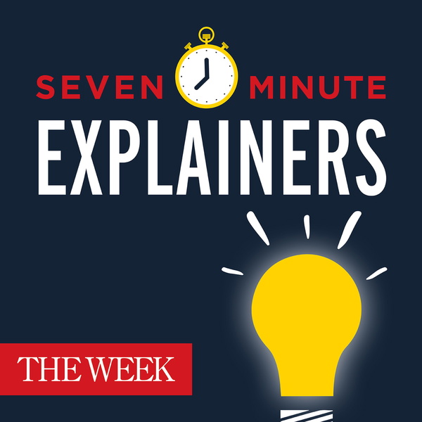 Artwork for Seven-Minute Explainers