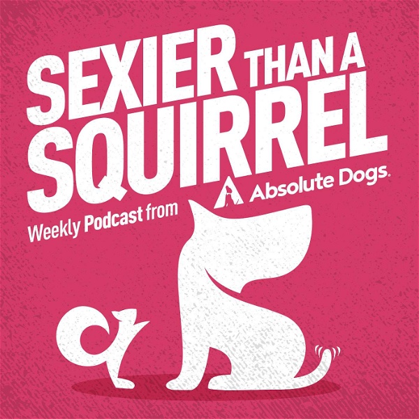 Artwork for Sexier Than A Squirrel: Dog Training That Gets Real Life Results