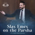 S'fas Emes on the Parsha