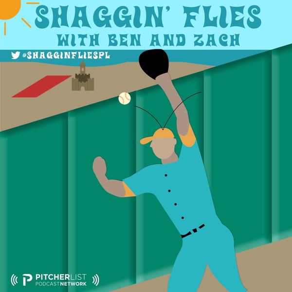 Artwork for Shaggin' Flies