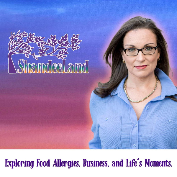 Artwork for ShandeeLand