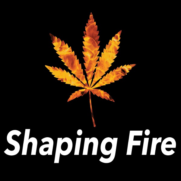 Artwork for Shaping Fire