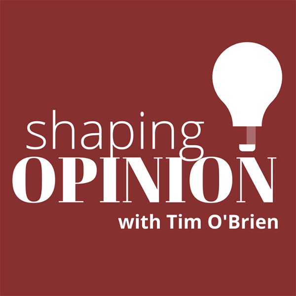 Artwork for Shaping Opinion