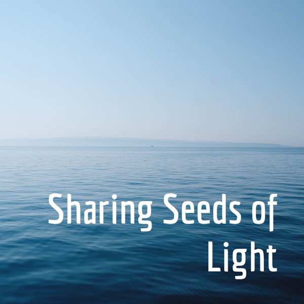 Artwork for Sharing Seeds of Light