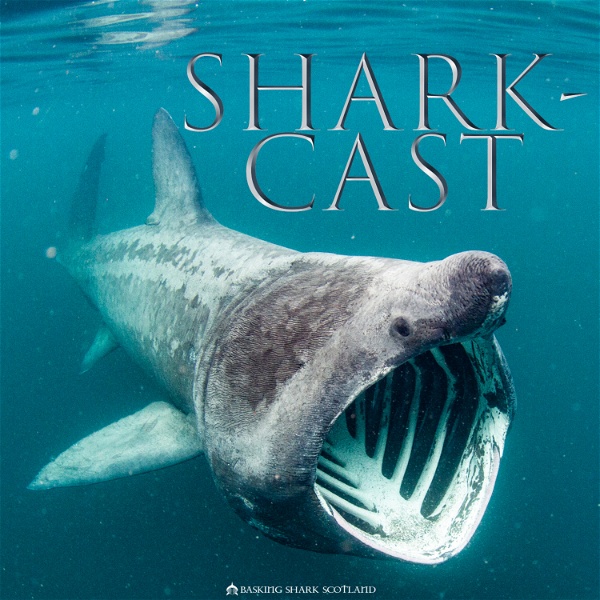 Artwork for Shark-Cast