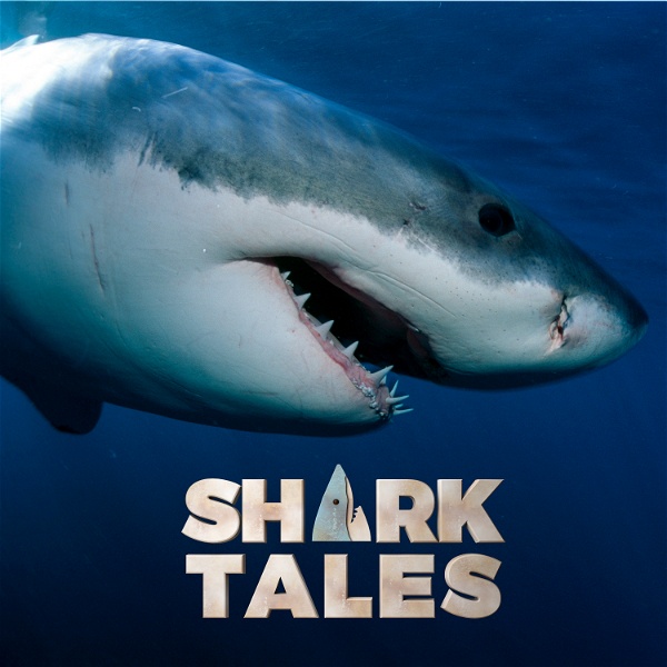 Artwork for Shark Tales