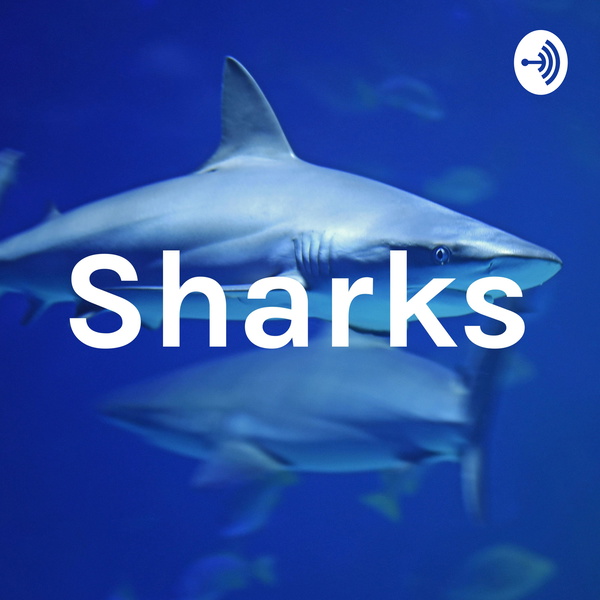 Artwork for Sharks