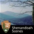 Shenandoah Scenes