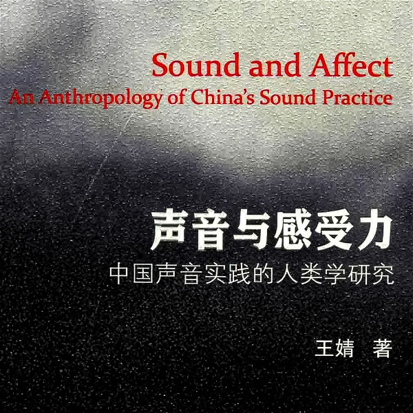 Artwork for 声音与感受力：中国声音实践的人类学研究