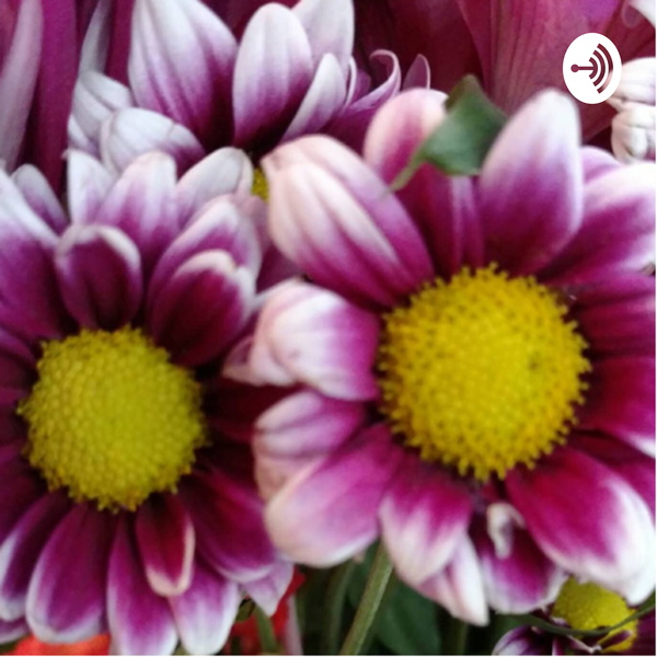 Artwork for ShineBaby, Shine!