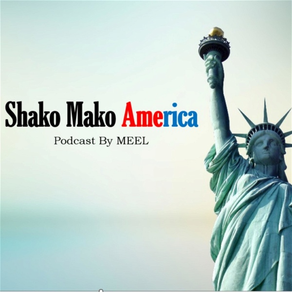 Artwork for شكو ماكو امريكا Shako Mako America