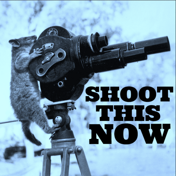 Artwork for Shoot This Now