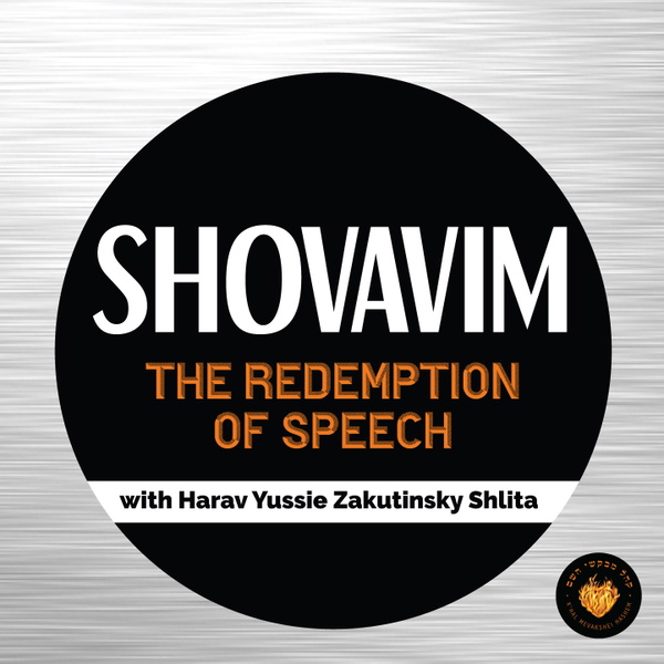 Artwork for Shovavim