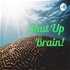 Shut Up Brain!