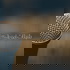 شيلات أبوراكان