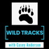 Side Tracked with Casey Anderson