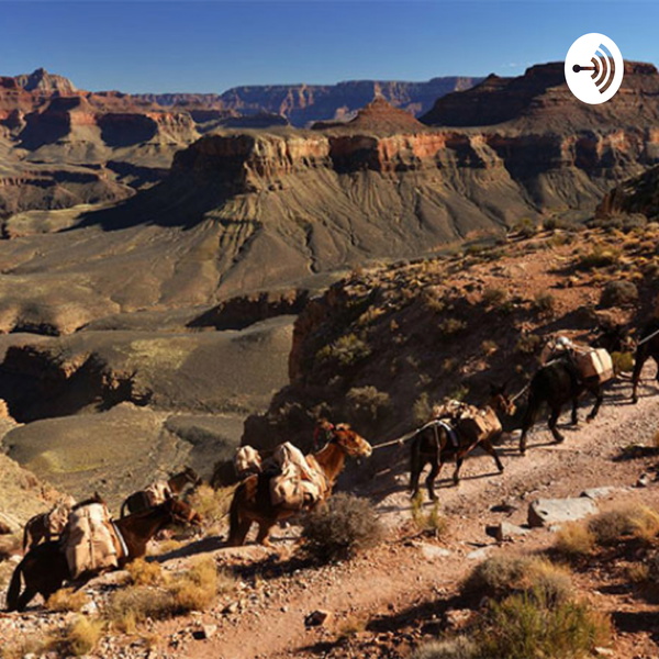 Artwork for Silk Road goods and religion.