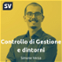 Simone Verza | Controllo di Gestione e Reporting