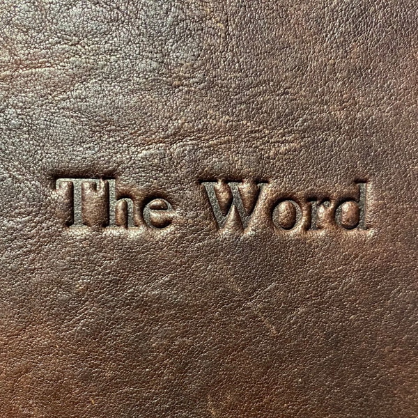 Artwork for Simple Man Sermons