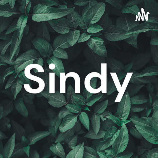 Artwork for Sindy