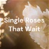 Single Roses That Wait