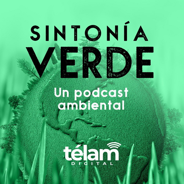 Artwork for Sintonía Verde, un programa ambiental