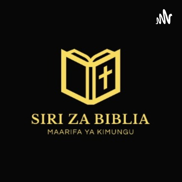 Artwork for SIRI ZA BIBLIA