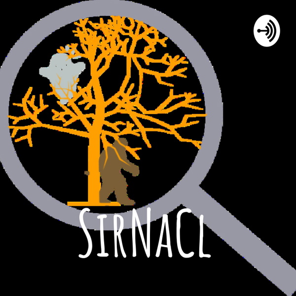 Artwork for SirNaCl Discusses