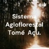 Sistema Agloflorestal Tomé Açu.