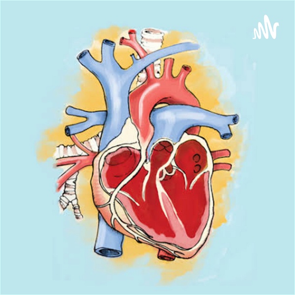 Artwork for Sistema cardiovascular