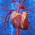 SISTEMA CARDIOVASCULAR