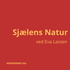 Sjælens Natur