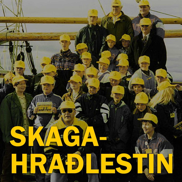 Artwork for Skagahraðlestin